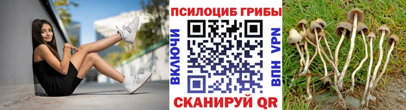 Галлюциногенные грибы Psilocybe  хочу   Онега 